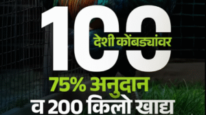 rural poultry business subsidy